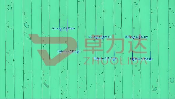 微信图片_2026-03-13_111940_993