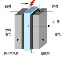 燃料电池